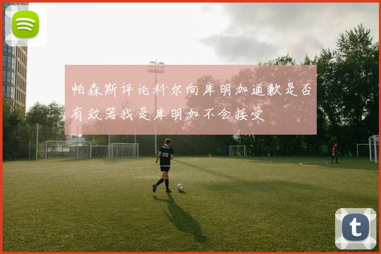 帕森斯评论科尔向库明加道歉是否有效若我是库明加不会接受