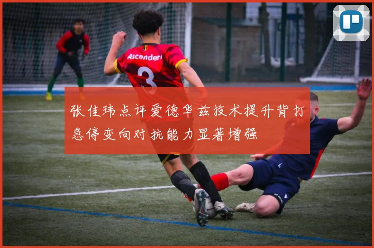 张佳玮点评爱德华兹技术提升背打急停变向对抗能力显著增强